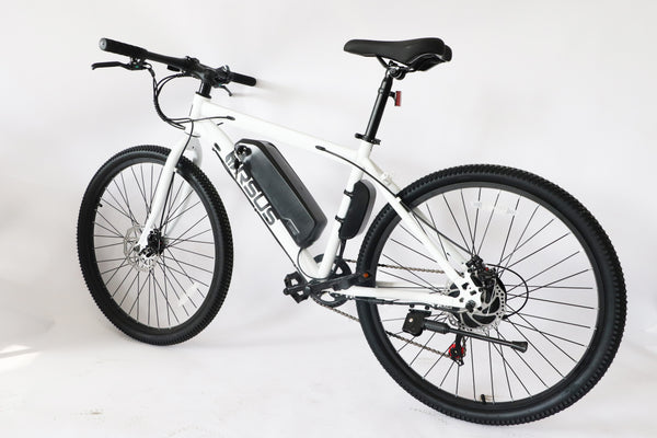 THE URSUS CUB – Bear Trail Bikes